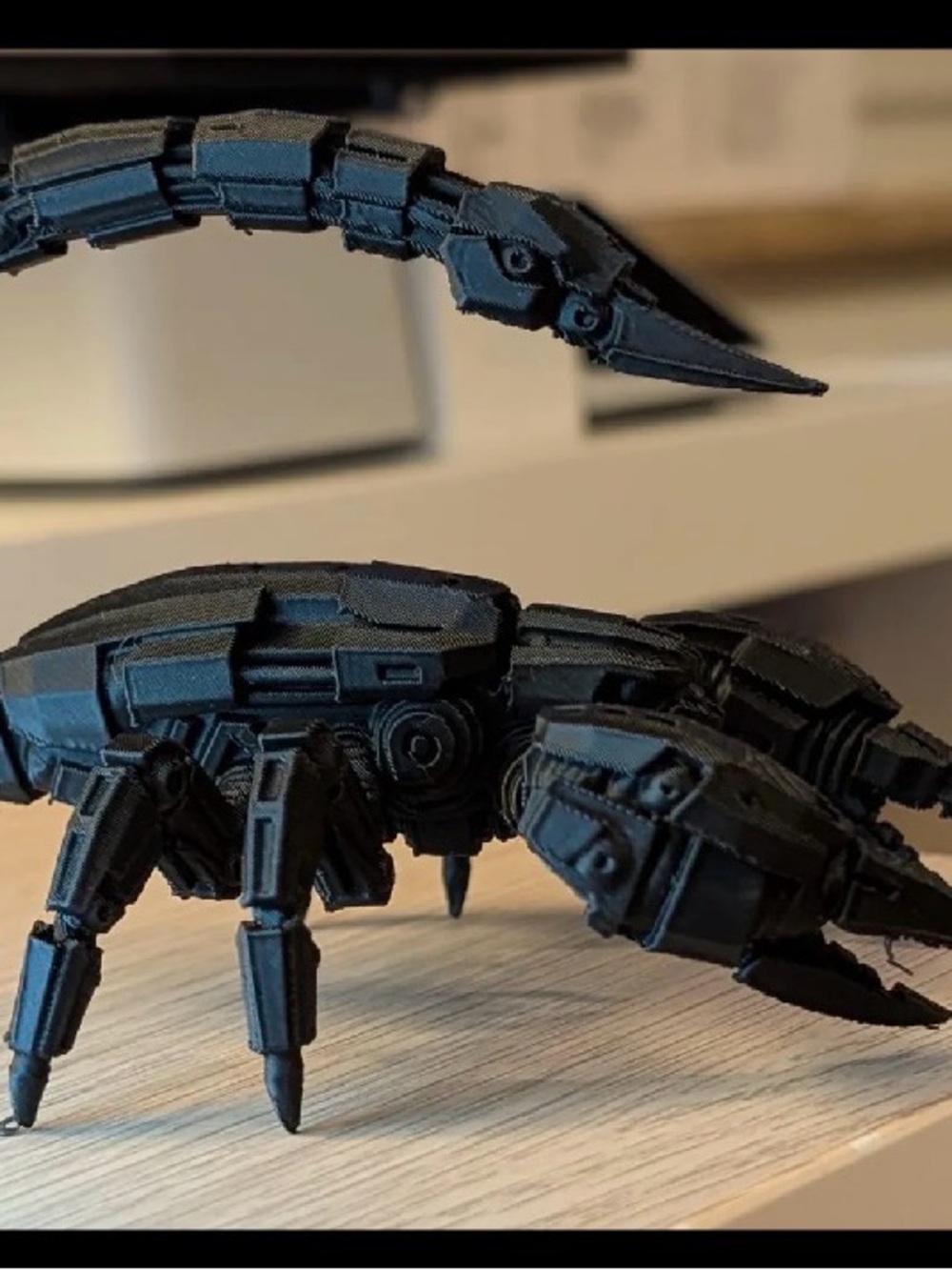 Scorpion - Picture 3 of 3